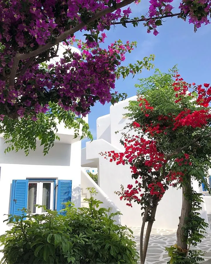 Acrogiali Beachfront Hotel Mykonos Platys Gialos